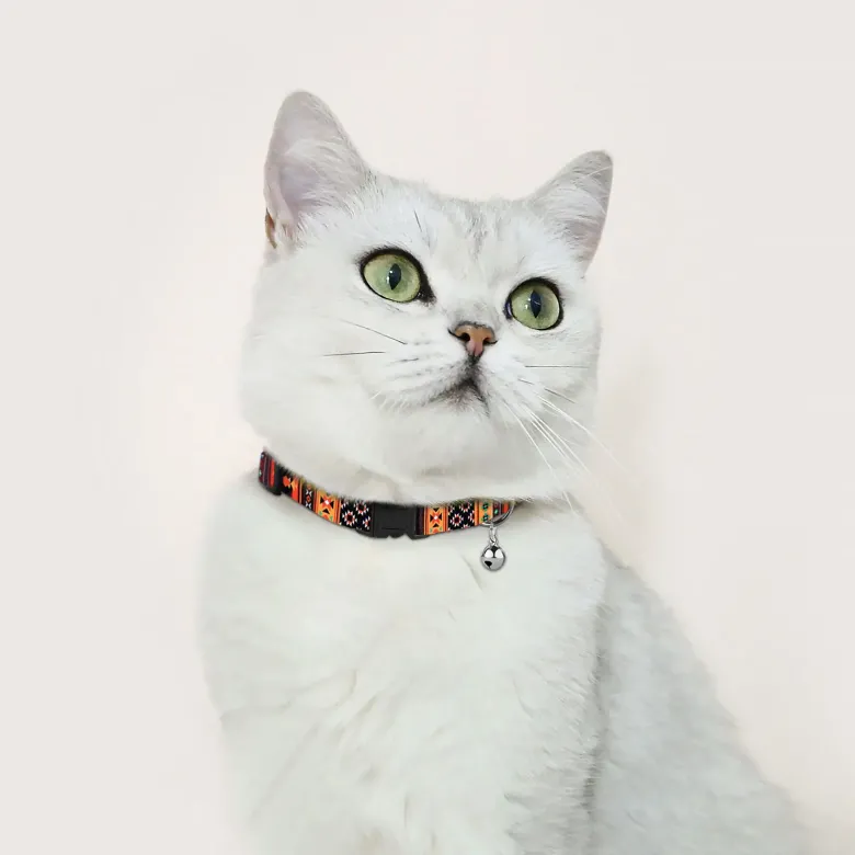 Нашийник нейлоновий HiDOG для кота "Boha orange" XS