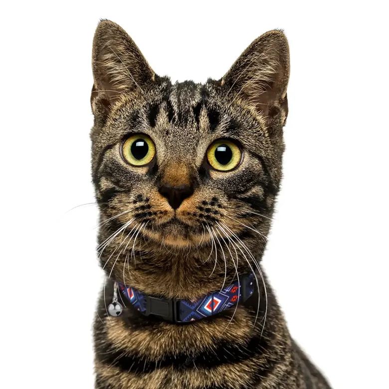 Нашийник нейлоновий HiDOG для кота "Aztec purple"